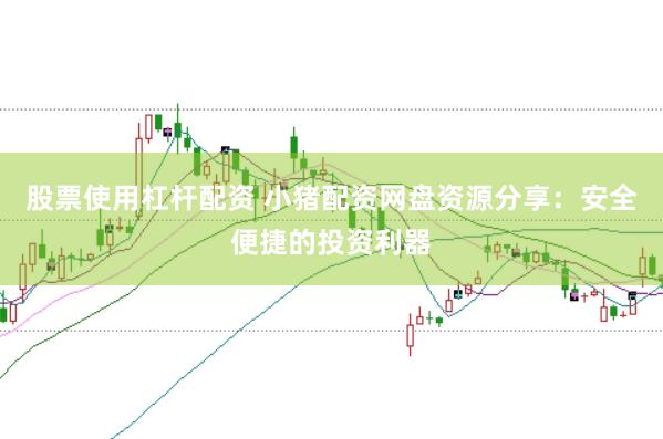 股票使用杠杆配资 小猪配资网盘资源分享：安全便捷的投资利器