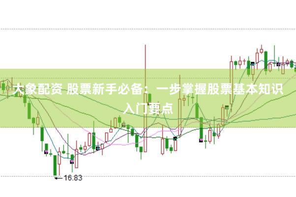 大象配资 股票新手必备：一步掌握股票基本知识入门要点