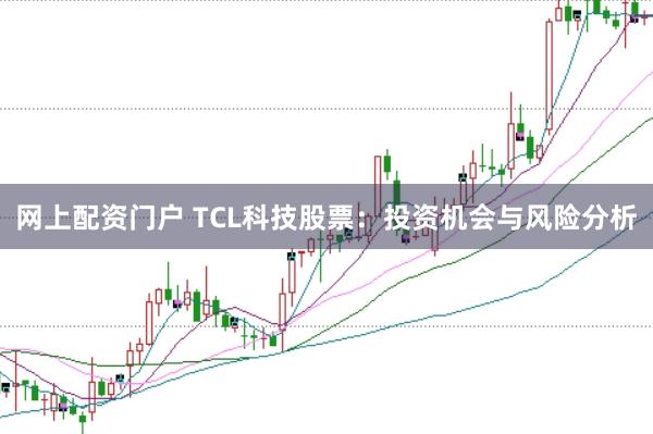 网上配资门户 TCL科技股票：投资机会与风险分析