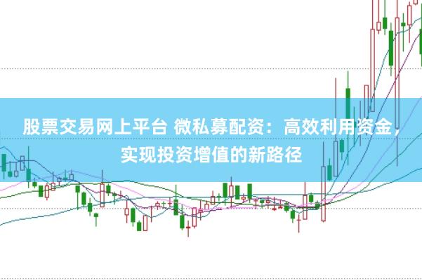股票交易网上平台 微私募配资：高效利用资金，实现投资增值的新路径