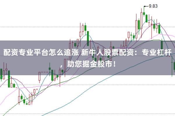 配资专业平台怎么追涨 新牛人股票配资：专业杠杆，助您掘金股市！