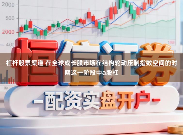 杠杆股票渠道 在全球成长股市场在结构轮动压制指数空间的时期这一阶段中a股杠