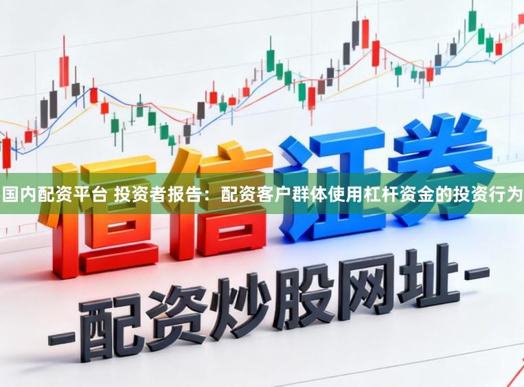 国内配资平台 投资者报告：配资客户群体使用杠杆资金的投资行为